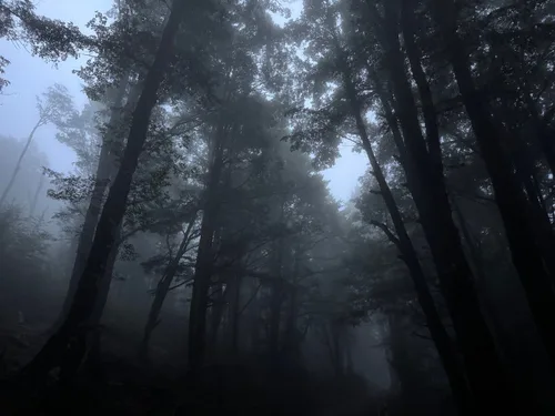 Image not captioned